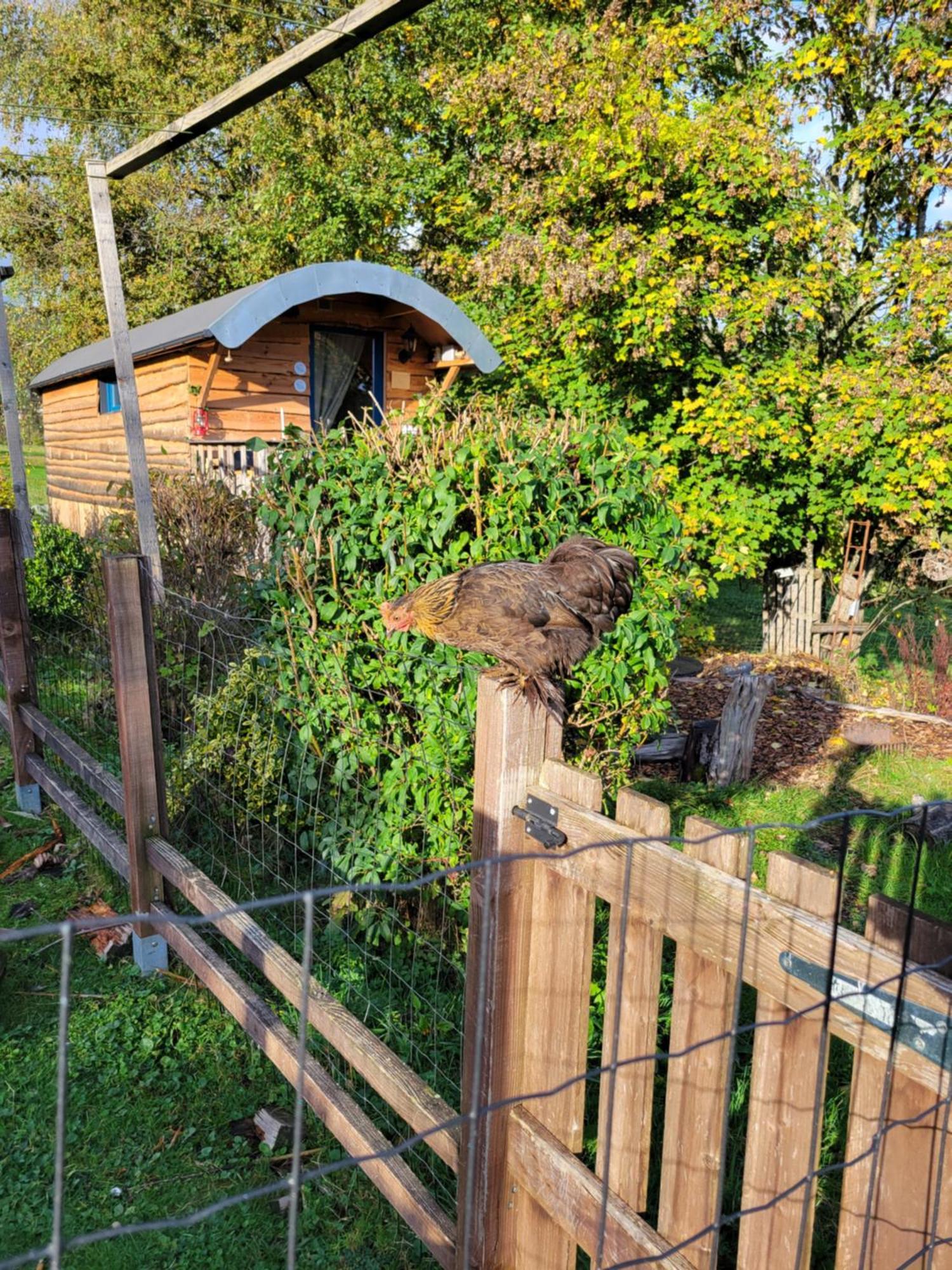 La Roulotte Tiny House Du Mond'Ideal Leval  Szoba fotó